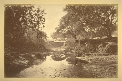 Crystal Springs road along San Mateo Creek