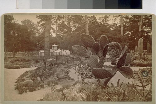 Hotel Del Monte, Monterey; Arizona Garden