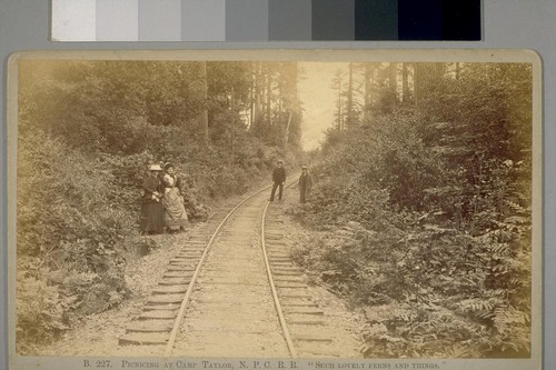 Picnicing [sic] At Camp Taylor, N. P. C. R. R. "Such Lovely Ferns And Things.", B 227