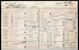 WPA household census for 1333 S PATTON, Los Angeles County
