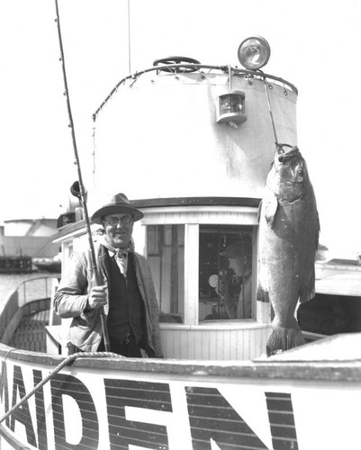 Large fish displayed on fishing boat "Maiden"