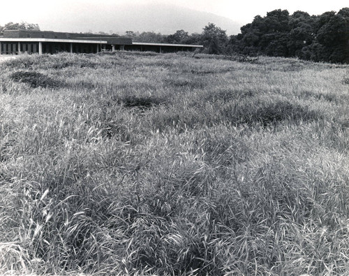 Future site of library, Saratoga campus