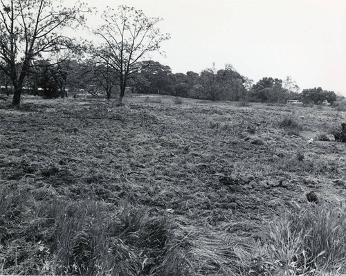 Future Administration and Business Education buildings site from southwest, Saratoga campus