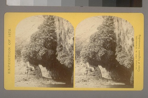 "The Bath," a dripping spring in Kanab Canon. Temperature 69 Fahr.--Photographer: Wm. Bell--Photographer's number: 9--Photographer's series: Expedition of 1872