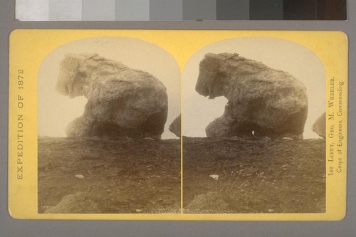 "The Bear," a mass of sandstone, fallen from the cliffs, near the mouth of the Paria.--Photographer: Wm. Bell--Photographer's number: 13--Photographer's series: Expedition of 1872