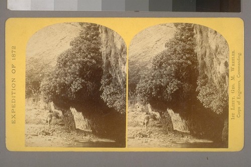 "The Bath," a dripping spring in Kanab Canon.--Photographer: Wm. Bell--Photographer's number: 15--Photographer's series: Expedition of 1872