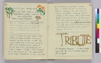 Two page notebook spread with diary entries, sketches and a poem (pages 34-35)