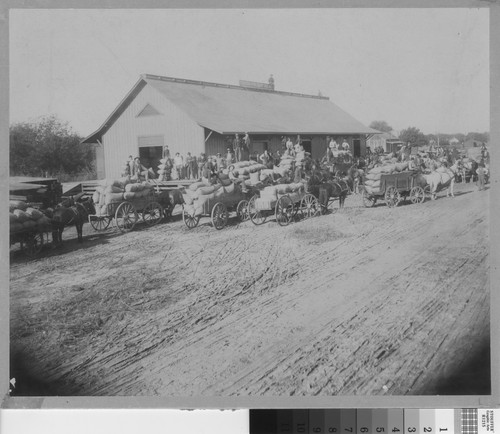 Walnut shipping at Rivera Freight House