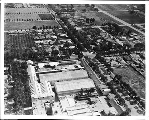 Aerial view of the Famous Players-Laskey studios, ca.1918