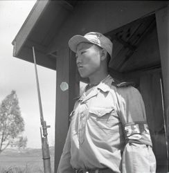 North Korean soldier at Panmunjom guard post — Calisphere