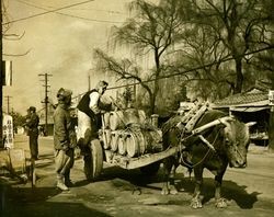 Containers of fertilizer pulled by ox through town