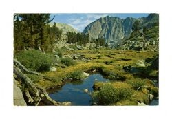 Palisade Glacier meadow, California