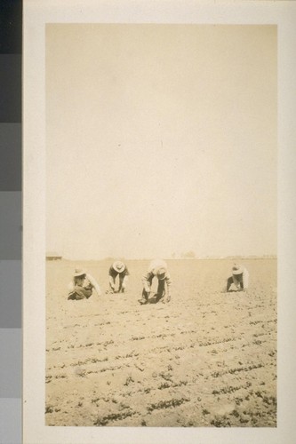 Snapshots of laborers and buildings, location unknown