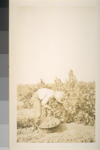 Snapshots of laborers and buildings, location unknown