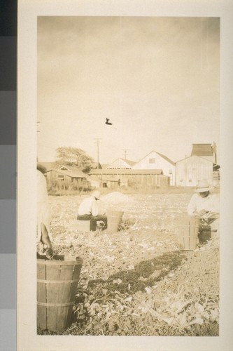 Snapshots of laborers and buildings, location unknown