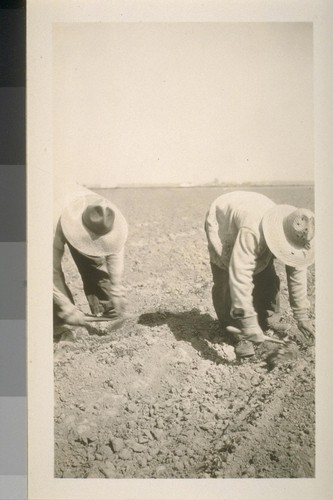 Snapshots of laborers and buildings, location unknown