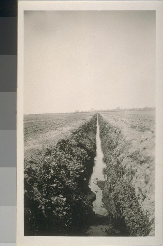 Snapshot of a ditch, location unknown