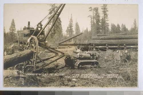 Photographic postcards of lumber operations in Susanville and Westwood