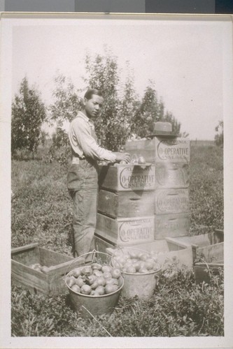 Snapshots of agricultural laborers