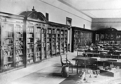 Library book shelves