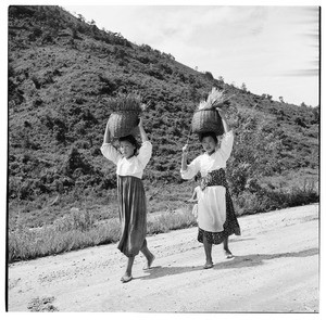 Two women carrying baskets of reeds on their heads, South Korea