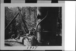 Bill Arnold's steam donkey used for logging