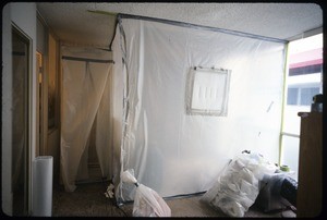 Mold workers in Martin Krieger's apartment, 2004