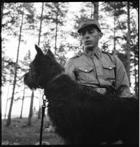 Dogs [Soldiers training with dogs]