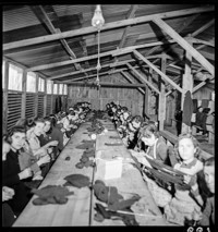 France: Argelès-sur-Mer (refugees)