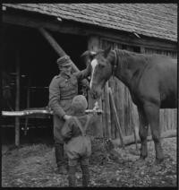 Cavalry [Soldier with little boy feeding horse]