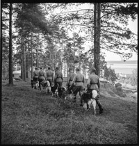 Dogs [Soldiers training with dogs]