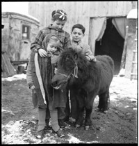 [Manot: elderly man with caravan or travelling wagon (Romani?), and family with horses and ponies]