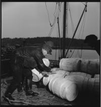 Valio Dairy. Putting in net [Men loading barrels onto ship] — Calisphere