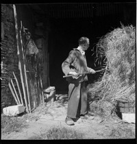 [Artist / sculptor Henri Edouard Navarre raking hay outside country cottage and ceramics studio]