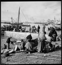 Portugal: Fish Market