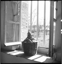 [Basket in window of Artist / sculptor Henri Edouard Navarre's country cottage and ceramics studio]
