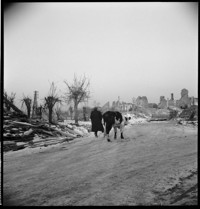Villers-Bocage [ruins in snow, with man and cow in road]