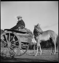 Road, Turku to Kuopio. Kuopio [Man in cart with horse]