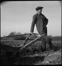 Village. Resting on plough [Man working in field]