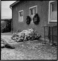 Buchenwald: [Dead bodies piled outdoors, with wreaths on wall.]