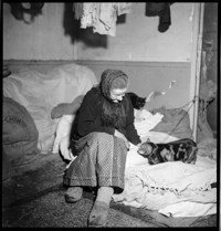 [Misc.: elderly woman with cat on bedding]