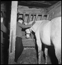 [Manot: elderly man with caravan or travelling wagon (Romani?), and family with horses and ponies]