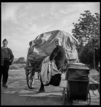 Ardennes evacuation: On road. Woman behind wagon [Refugees]