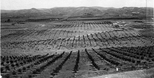 Yorba Linda from Reservoir Hill