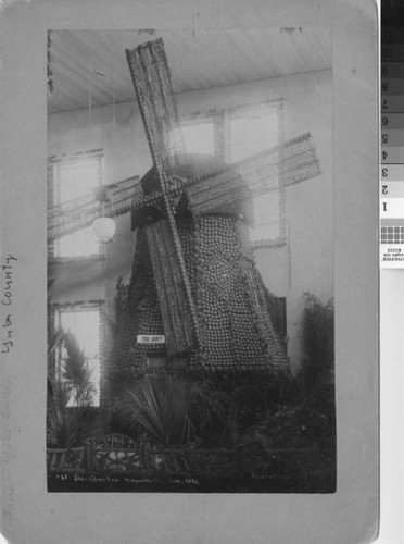 State Citrus Fair Windmill