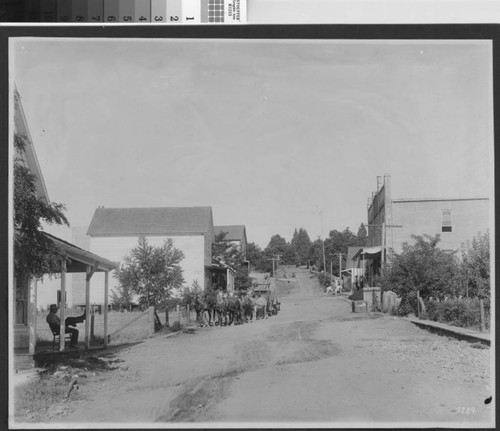 Horse Drawn Wagon 1915