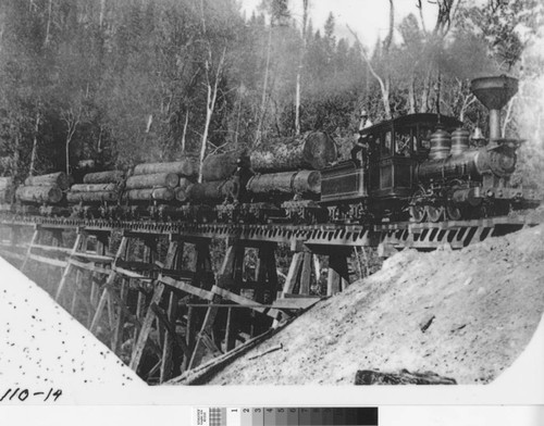 Logging Train