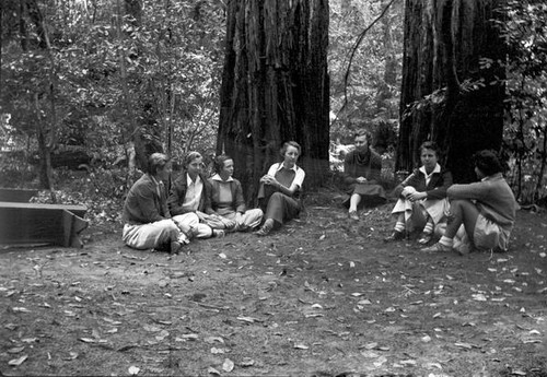 Group of teenage girls sitting in a redwood forest