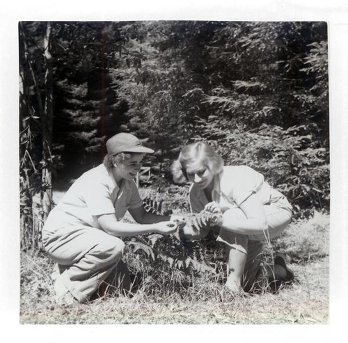 Teenager girls examining a fern frond