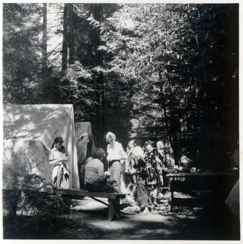 Group of campers milling around tents in a forested area